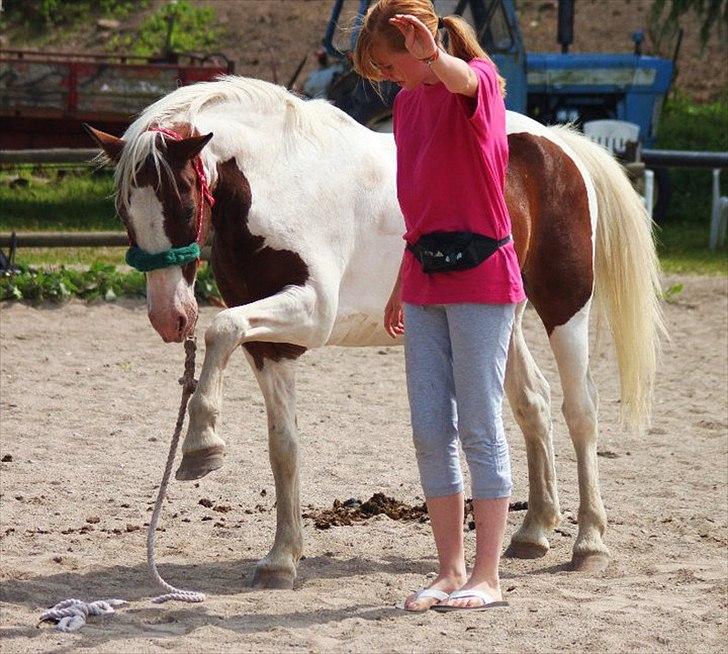 Pinto Blanding Gismoe - #10 Gismoe og mig sidste dag på ridelejren ;D Tricks vinke foto:Line Holst Petersen billede 10