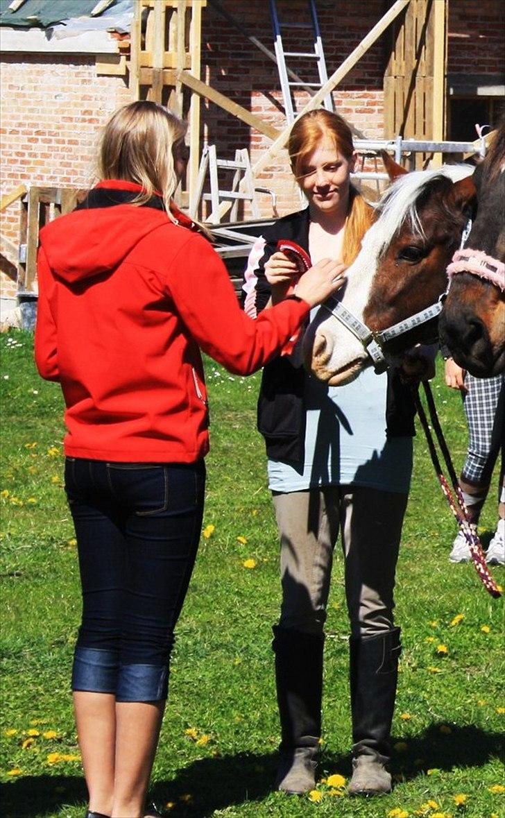 Pinto Blanding Gismoe - #14 Gismoe og jeg til vores første oringterings stævne og vi vandt :D foto:Rikke billede 14
