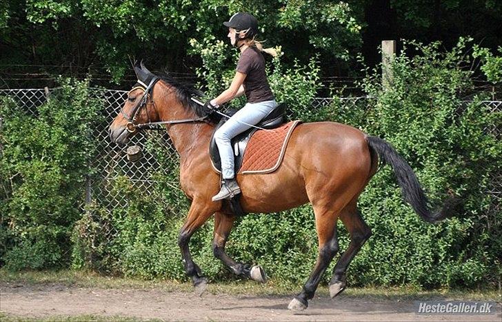 Anden særlig race | Indian Pride - Pride og jeg, ude og løbe :D | Fotograf: Marina Bohn Hansen billede 19