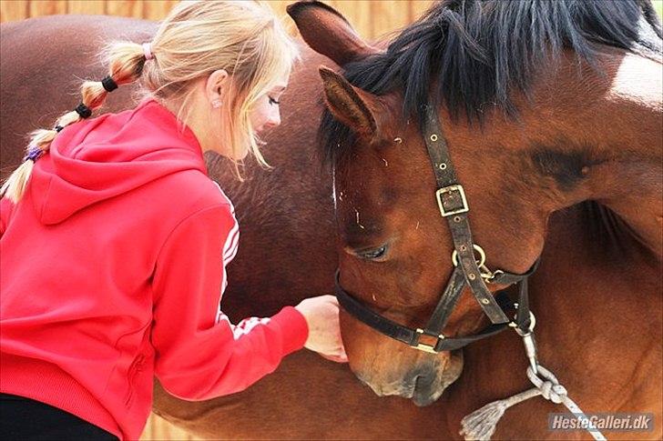 Anden særlig race | Indian Pride - Jeg elsker dig hest<3 Jeg vil aldrig glemme dig! | Fotograf: Simone Them Larsen billede 20