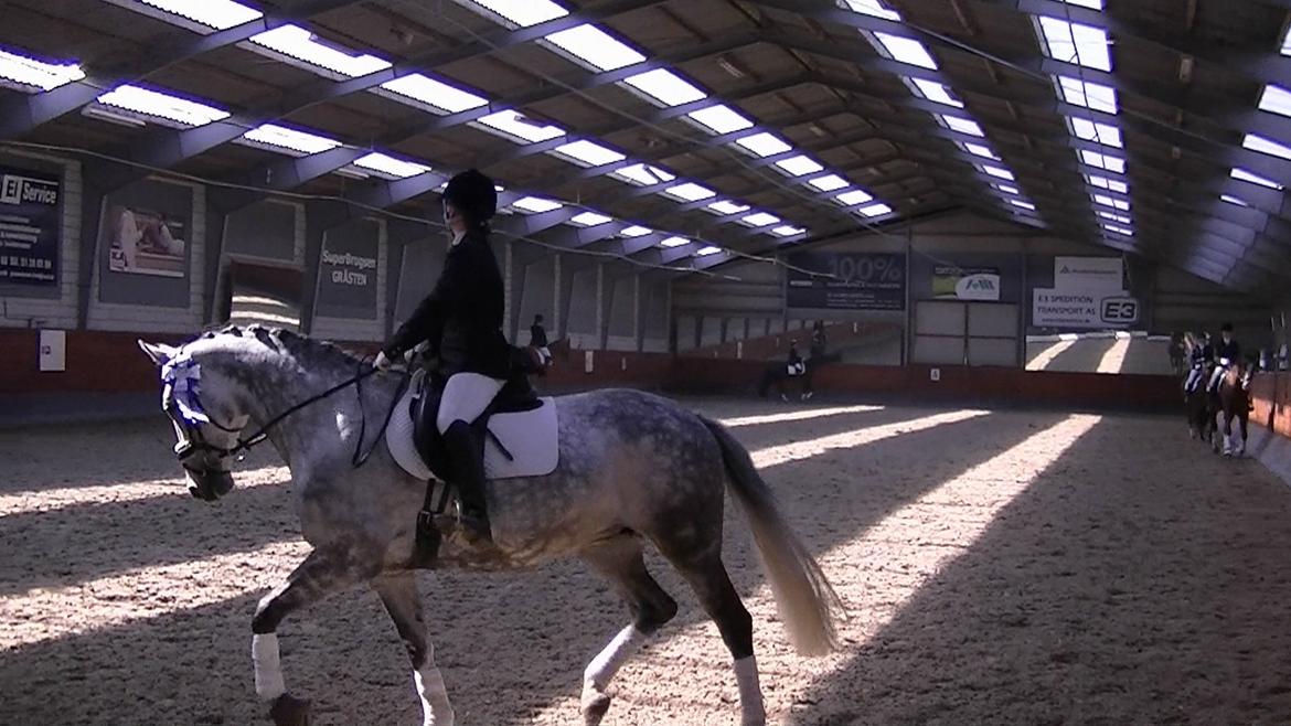 Dansk Varmblod Artimis A' Fenris - Klubmesterskab 2011 billede 5