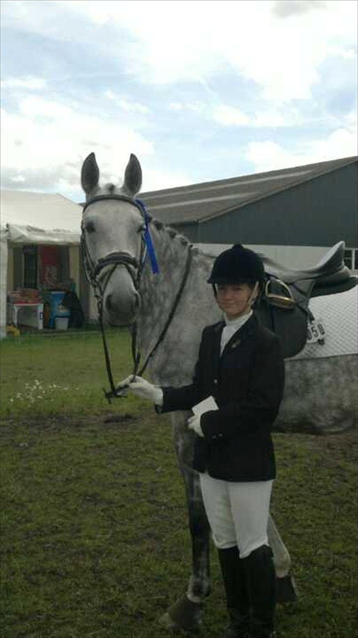 Dansk Varmblod Artimis A' Fenris - Srr Cup billede 9