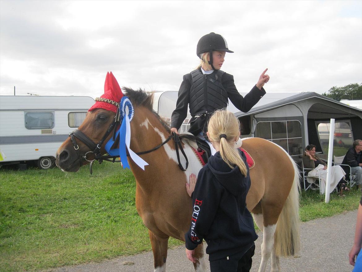 Pinto Holleskovgårds Teckla. - 2 Plads i LA wee;)

HAMMERUM billede 11