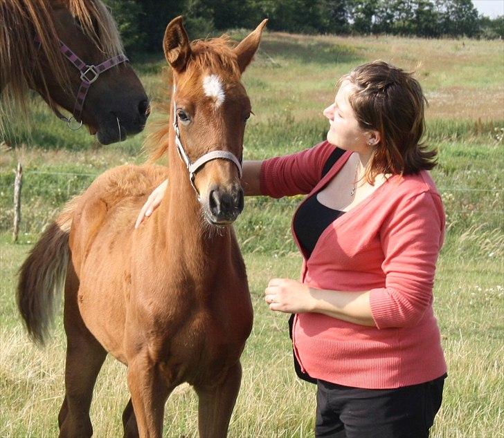Anden særlig race Wisdoms Ameera ''SOLGT* - Ameera & jeg
D 2 August 2011
Foto : Rebecca Jakobsen billede 7
