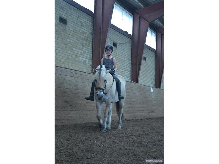 {{currentPhoto.altText}} billede {{currentPhoto.number}}