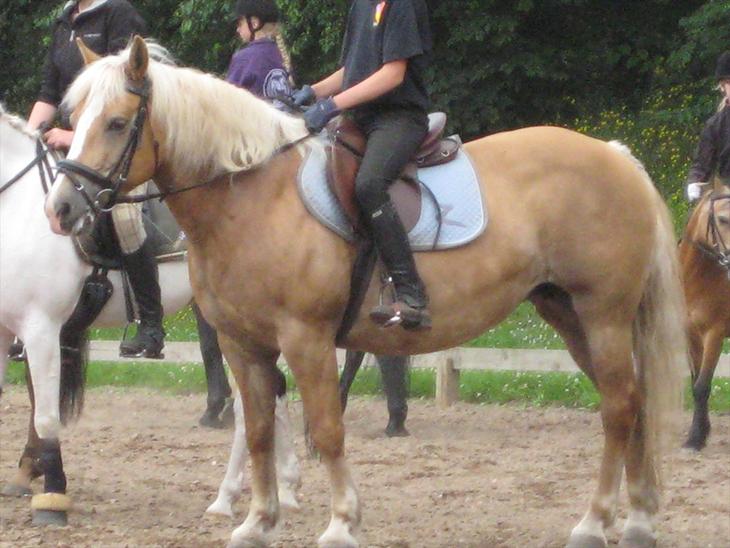 {{currentPhoto.altText}} billede {{currentPhoto.number}}