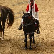 Anden særlig race Prins