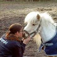 Shetlænder Nanna á Holte