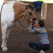 Anden særlig race *Tea's Baby Dolly*