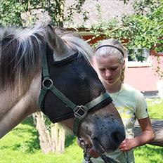 Fjordhest Raca | tidl. part | •R.I.P.• altid elsket