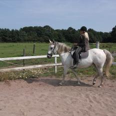 Anden særlig race Minka *Mit eventyr II-:*