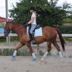 Anden særlig race Fabian 