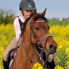 Anden særlig race Speedy the Speedfighter!<3