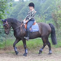 Anden særlig race Grankærs Fandango <3<3<3