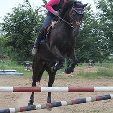 Anden særlig race Grankærs Fandango <3<3<3