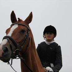 Dansk Varmblod Gørklintgårds Graena [Mors]