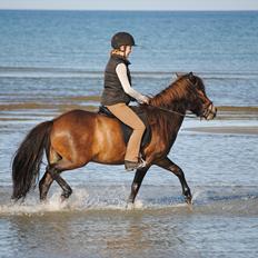 Islænder Geysir (Trold)