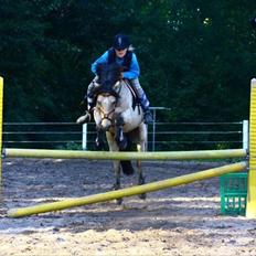 Anden særlig race Højgaard's Le-Mann