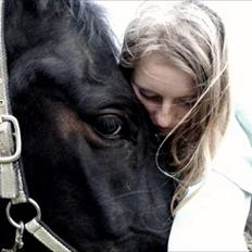 Anden særlig race Bakkes indy