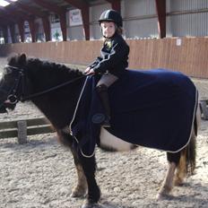 Anden særlig race Lille Sky