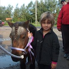 Shetlænder † Bakkegårdens Faster †