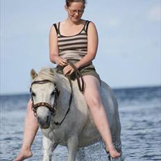 Anden særlig race Merrylegs