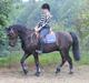 Anden særlig race Grankærs Fandango <3<3<3
