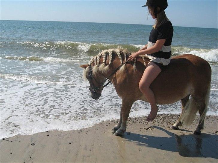 Anden særlig race Lukas billede 14