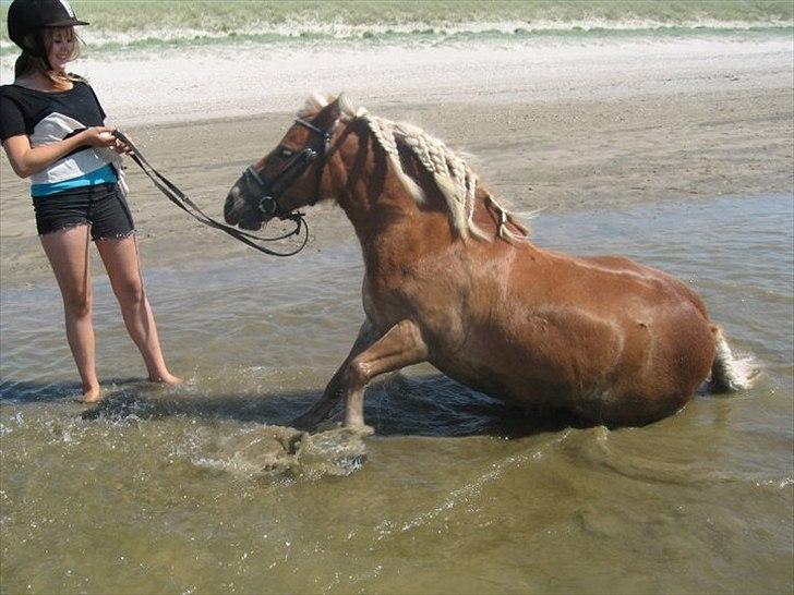 Anden særlig race Lukas billede 15