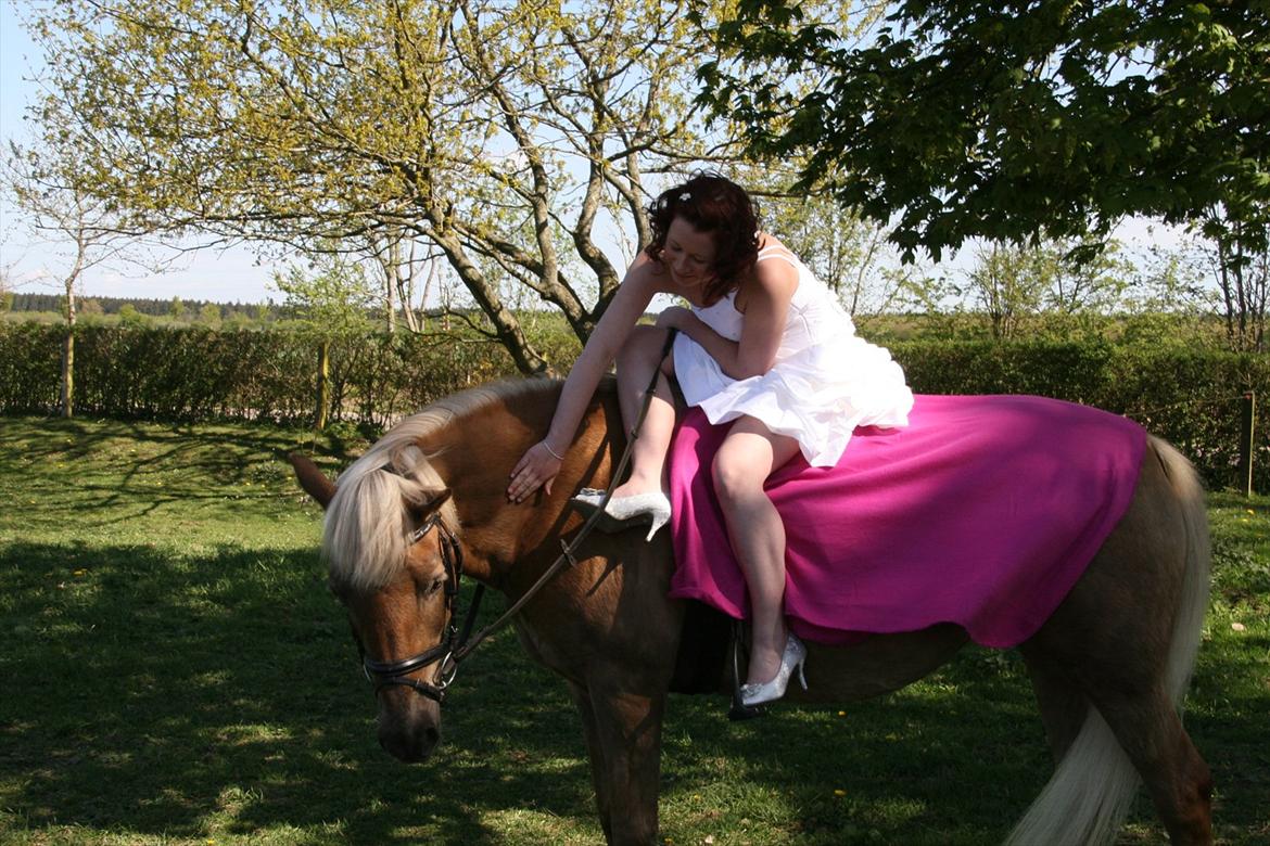 Tyroler Haflinger Anita <3 - konfirmation 1. maj 2011! hun var perfekt den dag :') billede 19