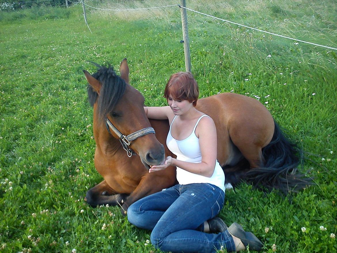 Anden særlig race Gavnbogårds Asterix - Mig og Asterix på folden efter han kom hjem fra sommergræs <3 billede 1