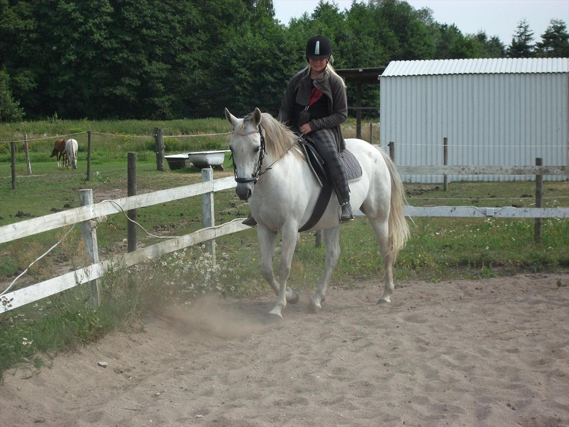 Anden særlig race Minka *Mit eventyr II-:* - ~ Billede 4 i: billede 4