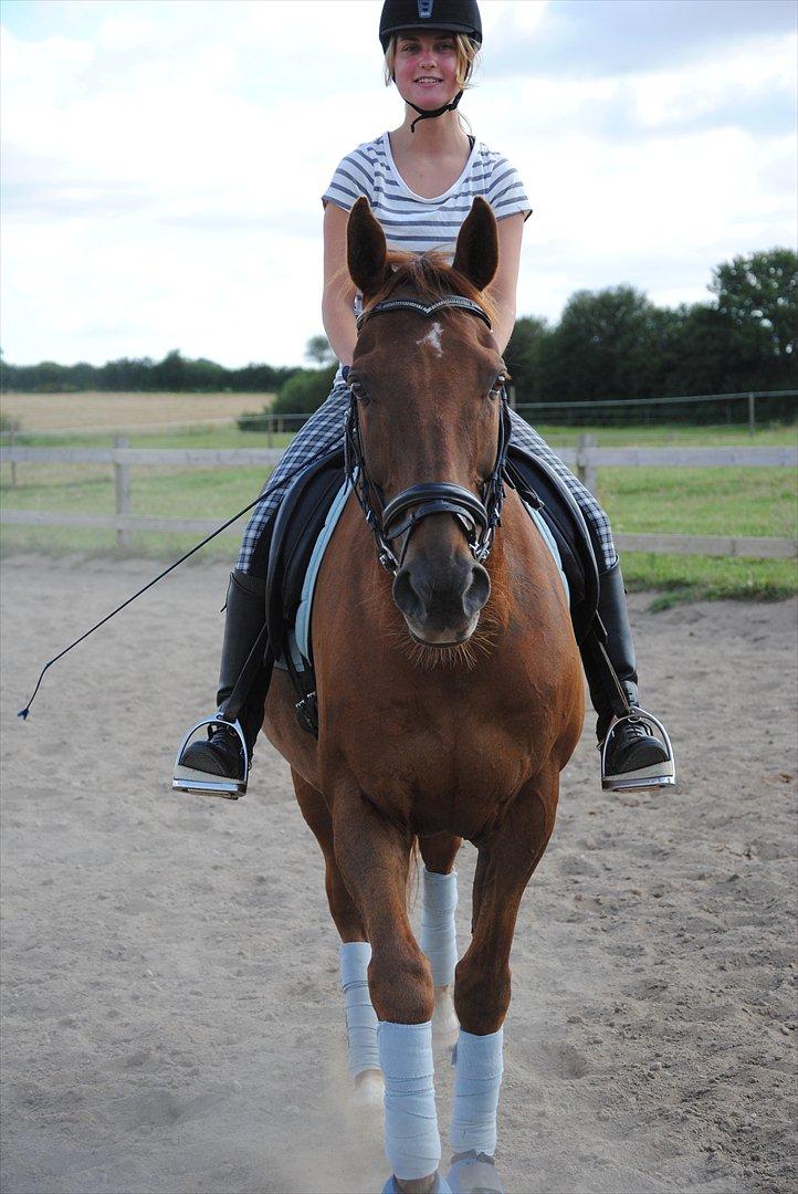 Anden særlig race Fabian  - Træning d. 6 August 2011. Lille søde Fabse. Tag jer ikke af mig, jeg ved ikke lige hvad jeg ligner xD -  foto: Amanda :) billede 5