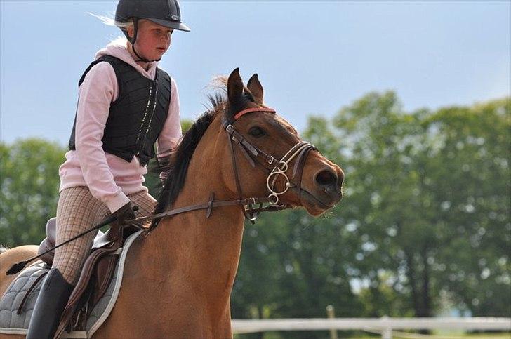 Anden særlig race Speedy the Speedfighter!<3 - MIg og Speedy!(-: Mesterfotograf: Isabella Larsen! billede 2