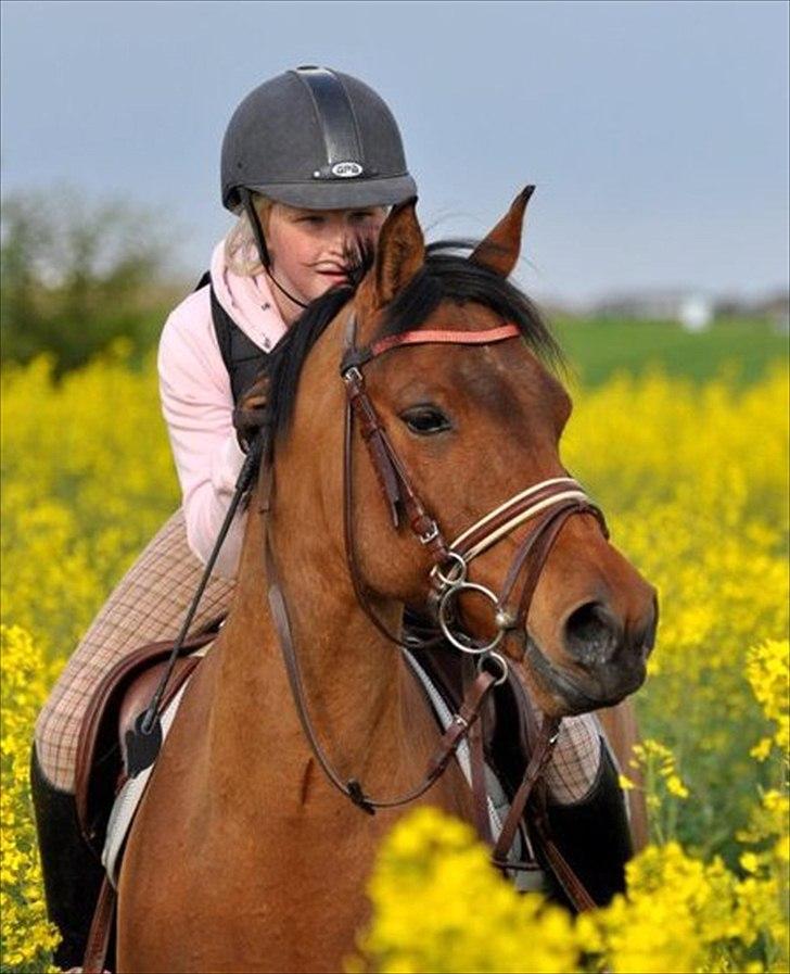 Anden særlig race Speedy the Speedfighter!<3 - Smukke speedy!d: billede 3