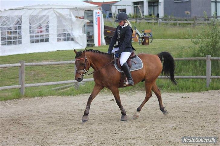 Anden særlig race Speedy the Speedfighter!<3 - smukke speedy!(-: billede 10