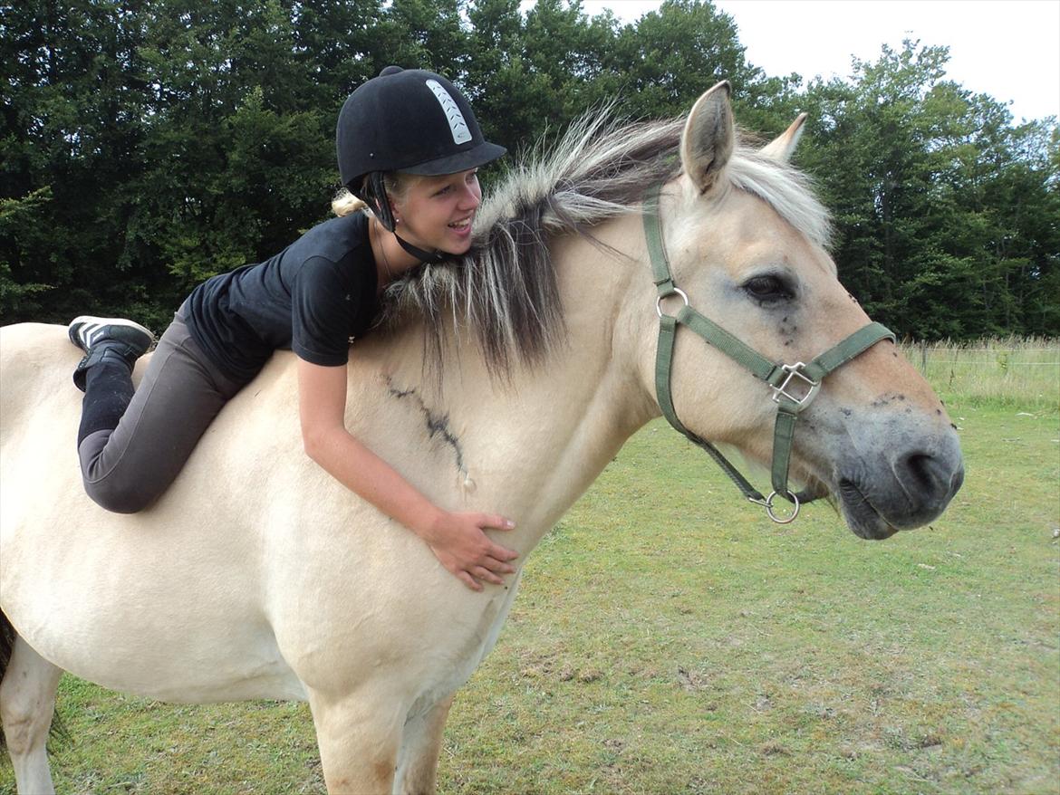 Fjordhest Raca | tidl. part | •R.I.P.• altid elsket - Da jeg startede med at ride dig, havde du aldrig haft en rytter på ryggen uden bid i munden. Vi er nået så langt! vi kan ridde ude på store marker kun i grime.
Jeg er så stolt af dig! :').
//Foto: Esther, med mit kamera. billede 5
