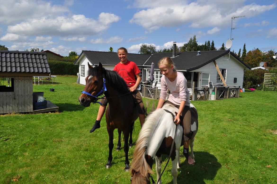 Anden særlig race Fiona `Gammel part` - Hjemme i min have med Cecilie og Samo Fiona og mig 
 billede 14