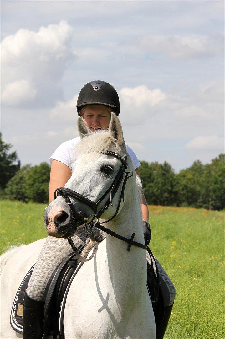 Anden særlig race Skovly's Kashmir - Søøde pony<3 **Fotograd: Sabrina billede 13