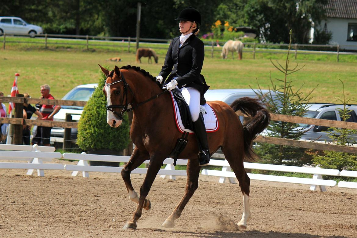 Tysk Sportspony Artos (fedtmulen) B-pony - Skønne tosse og mig ved AAGS Landsstævne d. 6 august her i PRT :) ! Foto: Laura Andersen billede 7