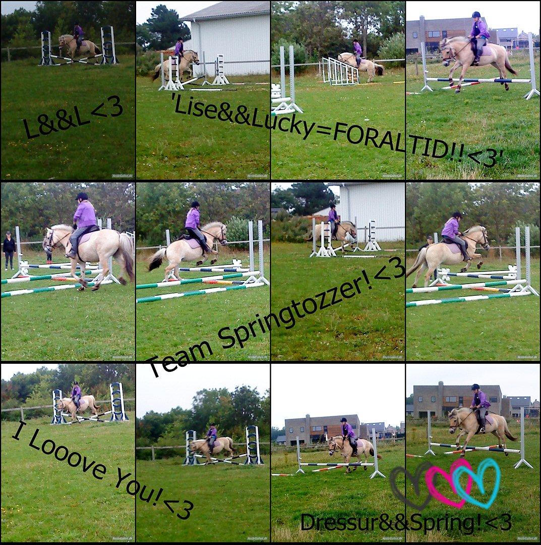 Anden særlig race Lucky<3 - En lille Springmix xD vi går jo på Springhold.. <3 ingen kommentare<3 billede 15