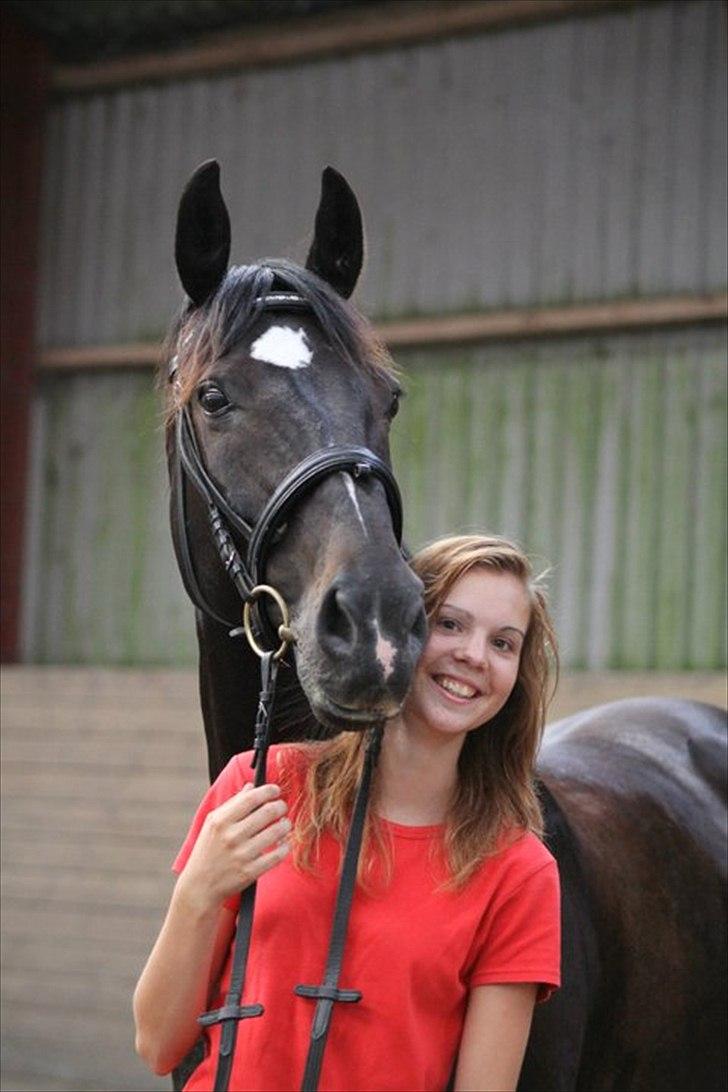 Dansk Varmblod Sazkibard S *My Soulmate* - Foto: Amalie Reffelt
You are my soulmate for ever ♥ billede 7