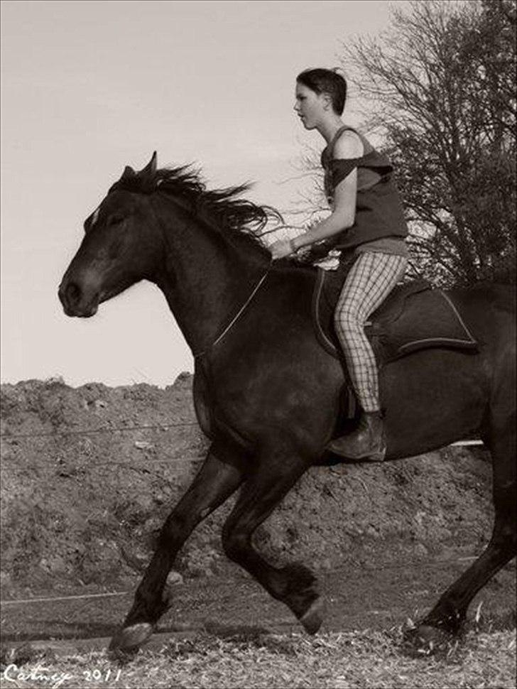 Anden særlig race Ferdinan billede 13