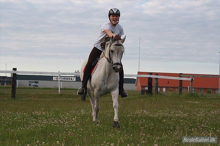 Anden særlig race Samiha  - 3 billede 3