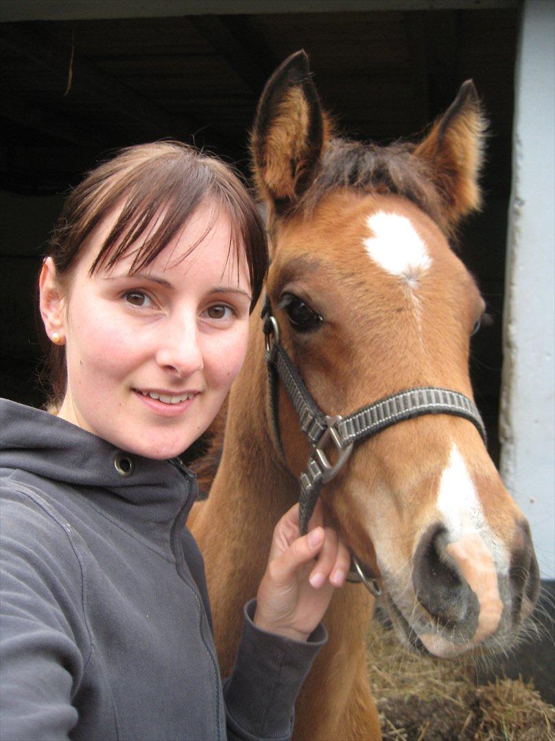 Arabisk fuldblod (OX) Shah El Manox - Manox og jeg - tak fordi I kiggede med... billede 2