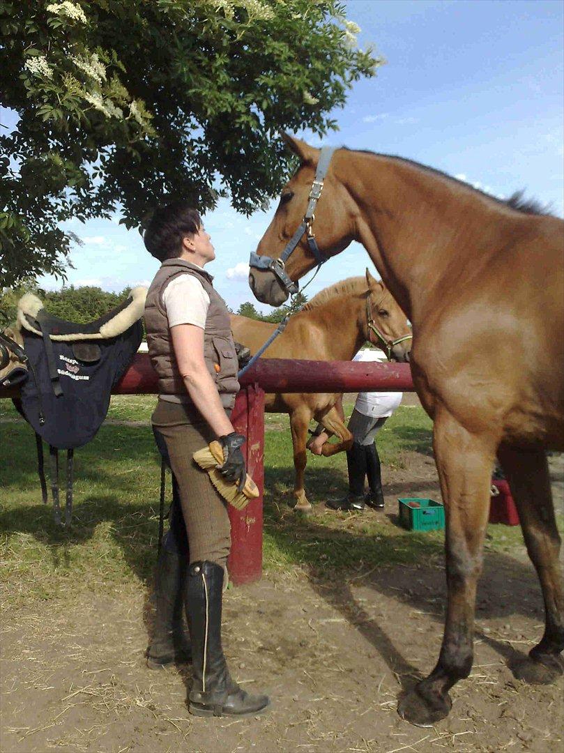 Dansk Varmblod Victoria Brunshøj - Hyggestund med  "Tusse" :) billede 9