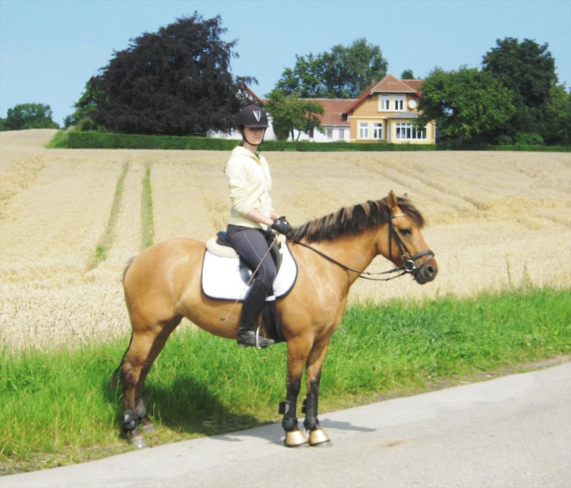 Anden særlig race Brie Marteyna - mig og Bire med min villa i baggrunden <3 :)  billede 17