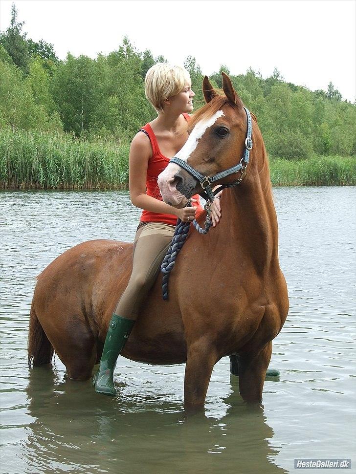 Anden særlig race † Stald Gunnartoft's Safir † - Hvis du holder udkig til venstre, tager jeg højre.
Foto: Marie billede 10
