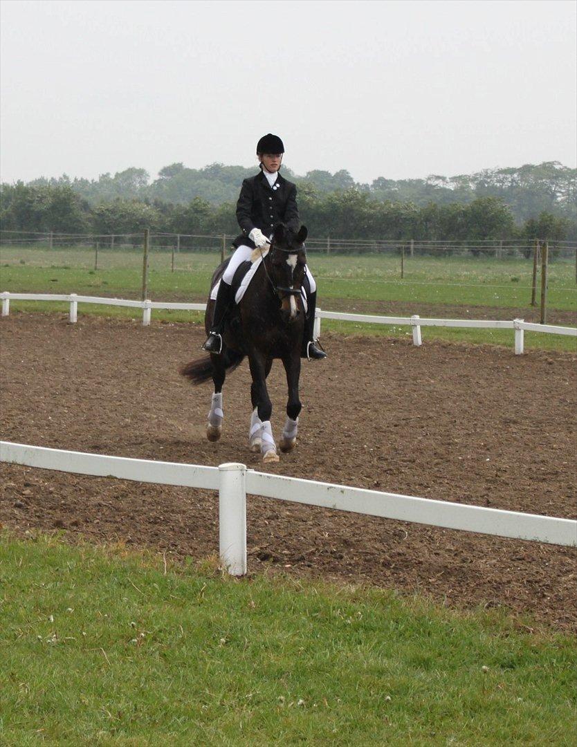 Dansk Varmblod Lillevang Felicia - Felicia og jeg til første stævne sammen. 67.xx% :-)
 billede 11