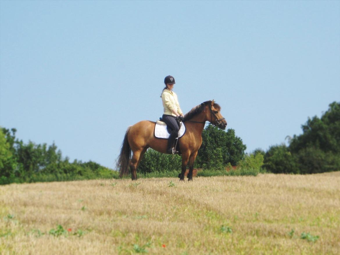 Anden særlig race Brie Marteyna - :)<3 billede 18